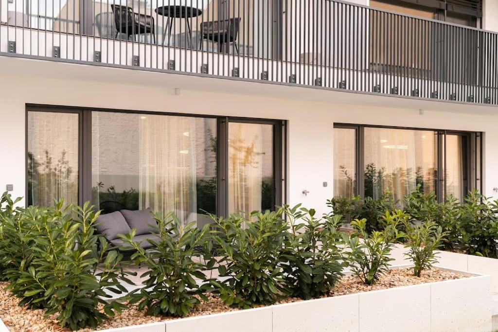 Green Garden Sauna Apartment برنو المظهر الخارجي الصورة